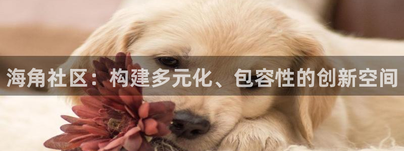 海角社区俱乐部 安卓