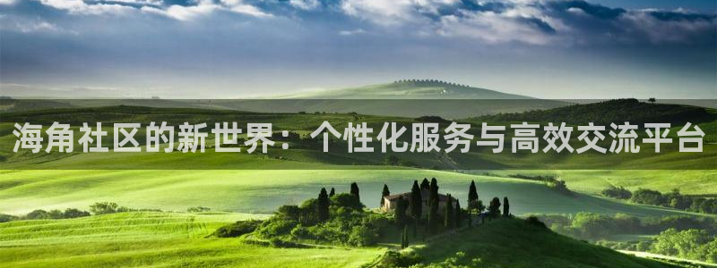 海角社区精品：海角社区的新世界：个性化服务与高效交流平台