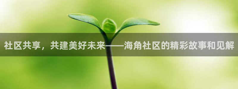 海角社区hj53a：社区共享，共建美好未来——海角社区的精彩故事和见解