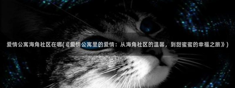 海角社区潇潇：爱情公寓海角社区在哪(《爱情公寓里的爱情：从海角社区的温馨，到甜蜜蜜的幸福之旅》)