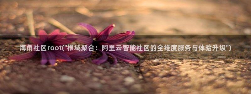 海角社区 故事：海角社区root(\