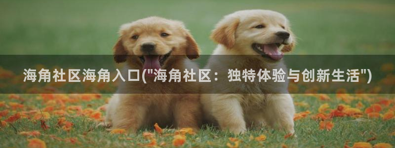 推特海角社区：海角社区海角入口(\