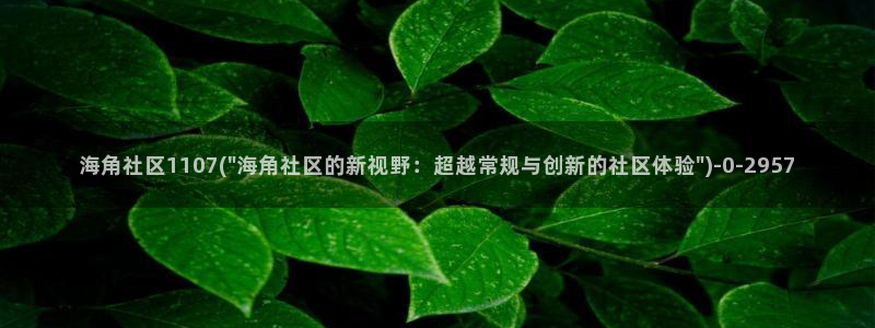 海角社区怎么上传：海角社区1107(\
