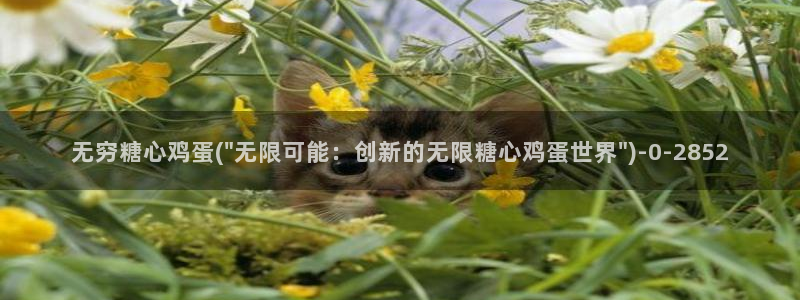 糖心vlog鸡教练：无穷糖心鸡蛋(\