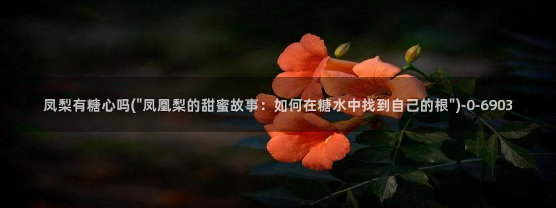 糖心vlog视频破解版