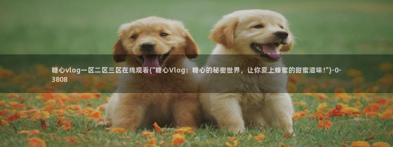 糖心vlog安卓：糖心vlog一区二区三区在线观看(